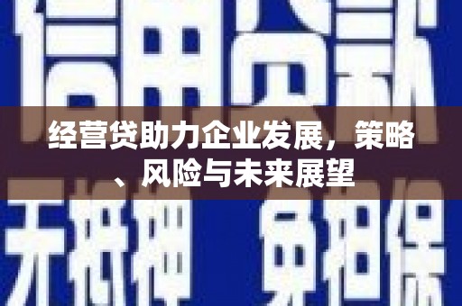 长岛经营贷助力企业发展，策略、风险与未来展望