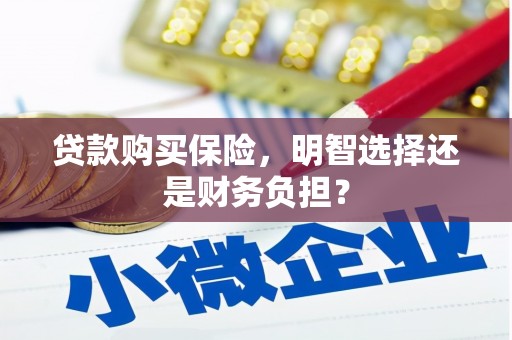 长岛贷款购买保险，明智选择还是财务负担？