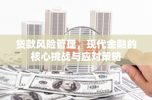 长岛贷款风险管理，现代金融的核心挑战与应对策略