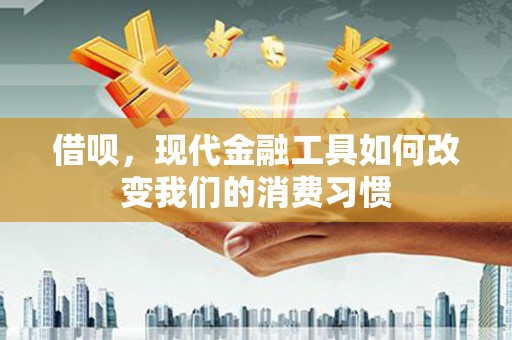 长岛借呗，现代金融工具如何改变我们的消费习惯
