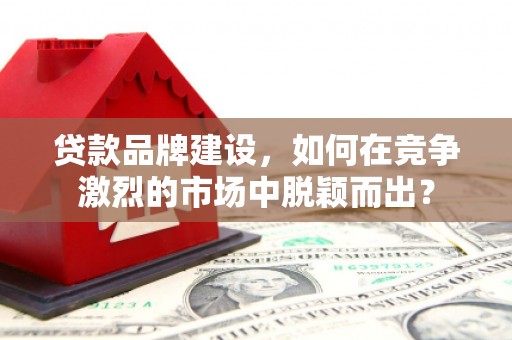 长岛贷款品牌建设，如何在竞争激烈的市场中脱颖而出？