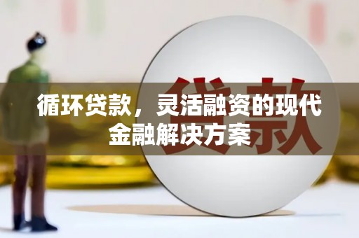 长岛循环贷款，灵活融资的现代金融解决方案