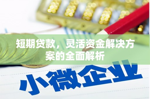 长岛短期贷款，灵活资金解决方案的全面解析
