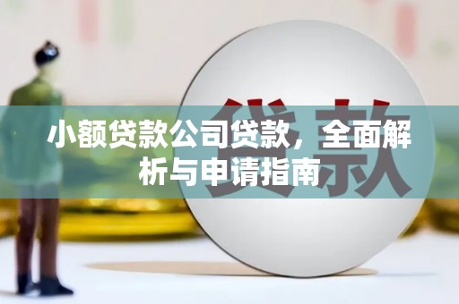 长岛小额贷款公司贷款，全面解析与申请指南