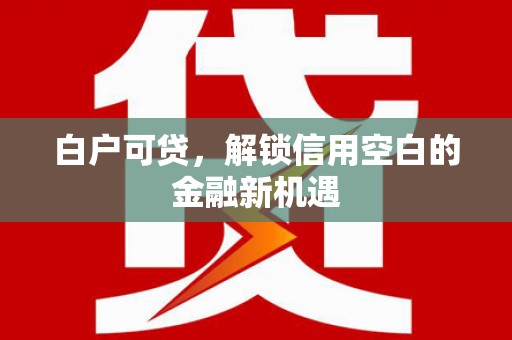 长岛白户可贷，解锁信用空白的金融新机遇