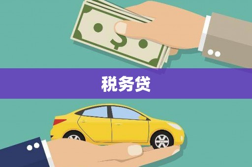 长岛税务贷