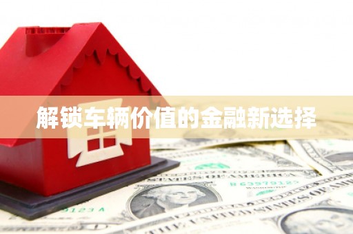长岛解锁车辆价值的金融新选择