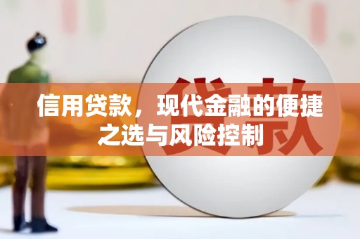 长岛信用贷款，现代金融的便捷之选与风险控制
