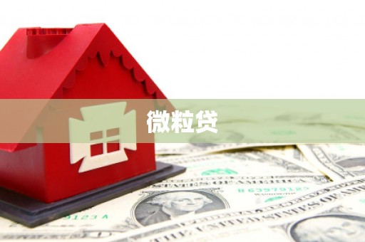长岛微粒贷