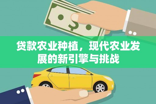 长岛贷款农业种植，现代农业发展的新引擎与挑战