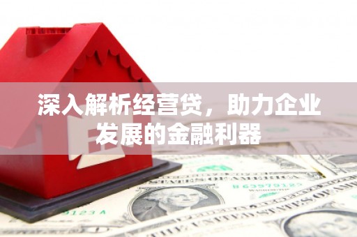 长岛深入解析经营贷，助力企业发展的金融利器
