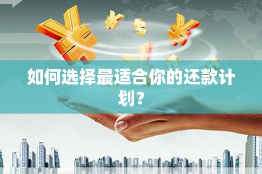 长岛如何选择最适合你的还款计划？