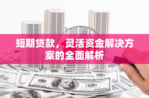 长岛短期贷款，灵活资金解决方案的全面解析