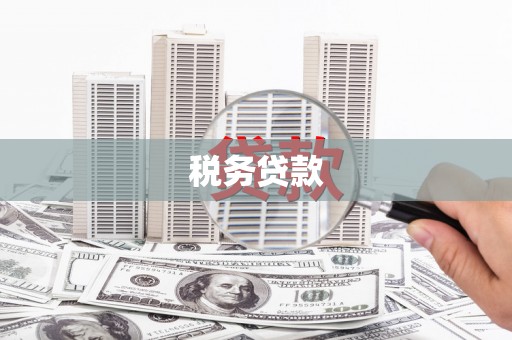 长岛税务贷款