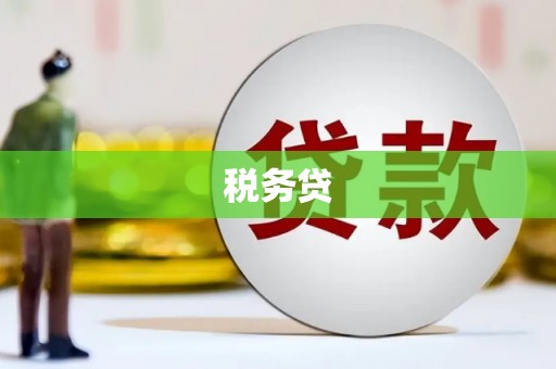 长岛税务贷