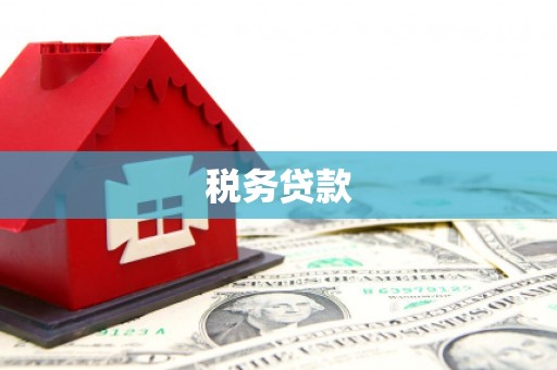 长岛税务贷款