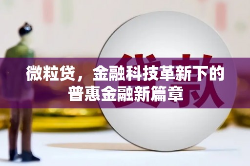 长岛微粒贷，金融科技革新下的普惠金融新篇章