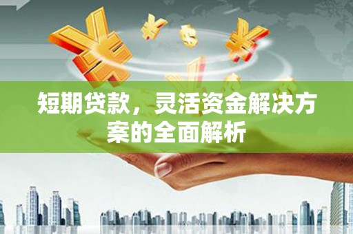 长岛短期贷款，灵活资金解决方案的全面解析