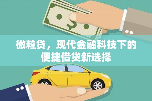 长岛微粒贷，现代金融科技下的便捷借贷新选择