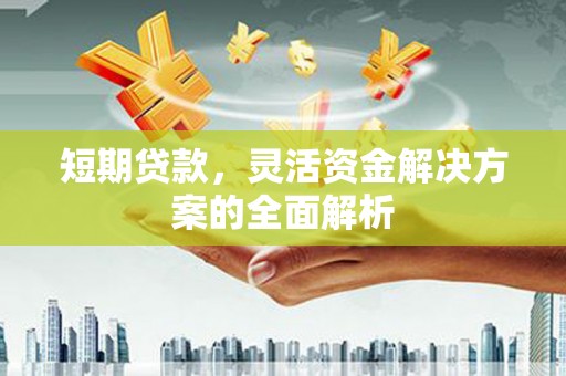 长岛短期贷款，灵活资金解决方案的全面解析