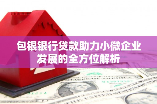 长岛包银银行贷款助力小微企业发展的全方位解析