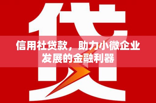 长岛信用社贷款，助力小微企业发展的金融利器
