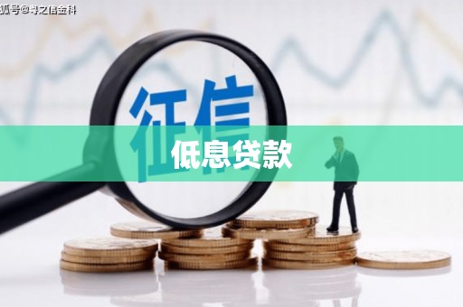 长岛低息贷款