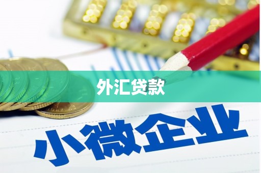 长岛外汇贷款
