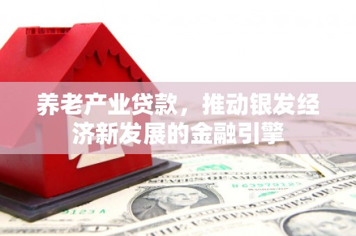 长岛养老产业贷款，推动银发经济新发展的金融引擎