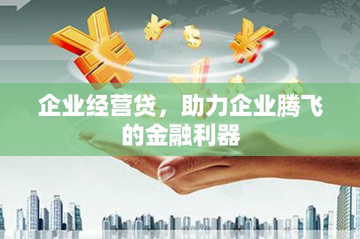 长岛企业经营贷，助力企业腾飞的金融利器