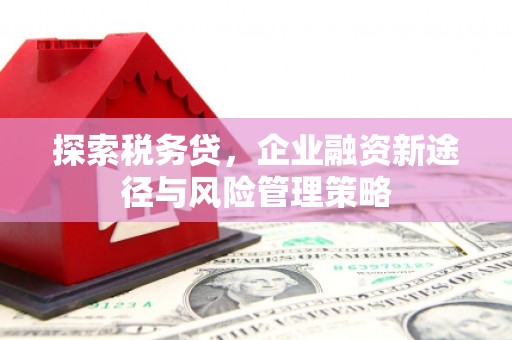长岛探索税务贷，企业融资新途径与风险管理策略
