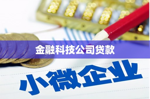 长岛金融科技公司贷款