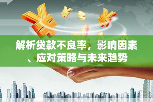 长岛解析贷款不良率，影响因素、应对策略与未来趋势