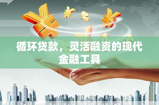 长岛循环贷款，灵活融资的现代金融工具