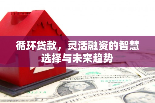 长岛循环贷款，灵活融资的智慧选择与未来趋势