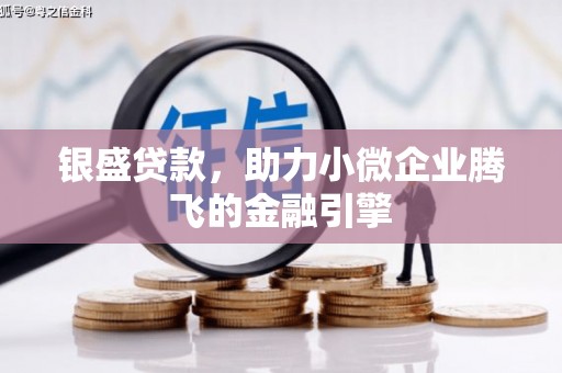 长岛银盛贷款，助力小微企业腾飞的金融引擎
