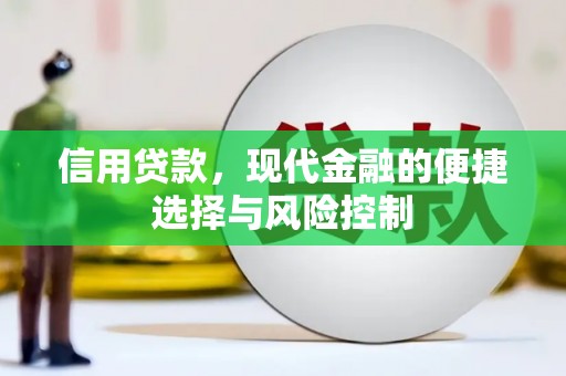 长岛信用贷款，现代金融的便捷选择与风险控制