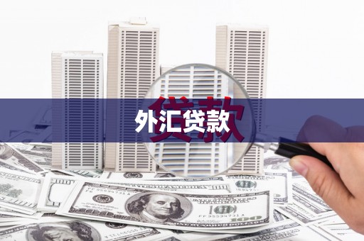 长岛外汇贷款