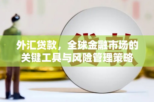 长岛外汇贷款，全球金融市场的关键工具与风险管理策略
