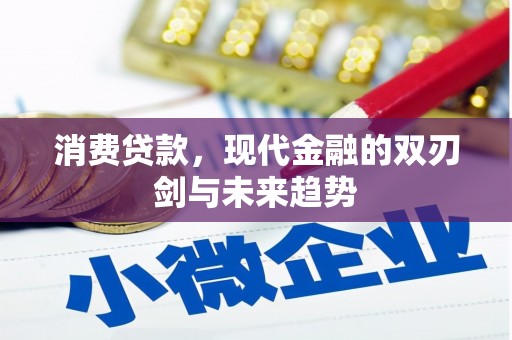 长岛消费贷款，现代金融的双刃剑与未来趋势