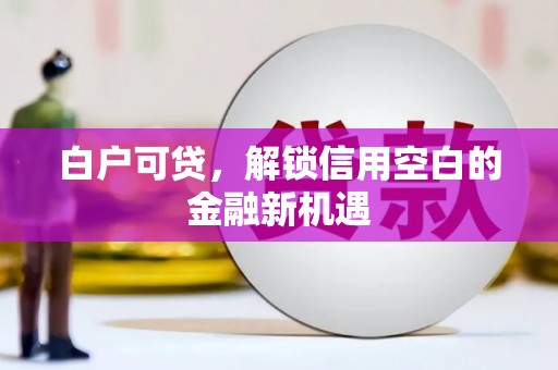 长岛白户可贷，解锁信用空白的金融新机遇