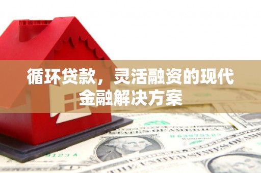 长岛循环贷款，灵活融资的现代金融解决方案