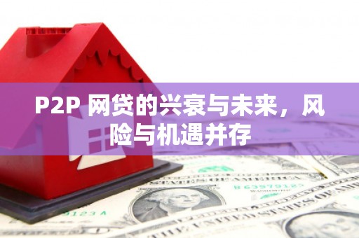 长岛P2P 网贷的兴衰与未来，风险与机遇并存