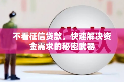 长岛不看征信贷款，快速解决资金需求的秘密武器