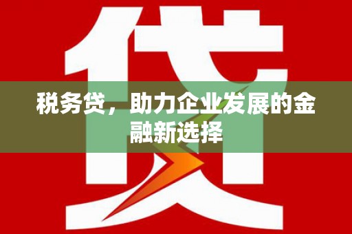 长岛税务贷，助力企业发展的金融新选择