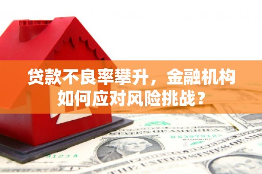 长岛贷款不良率攀升，金融机构如何应对风险挑战？