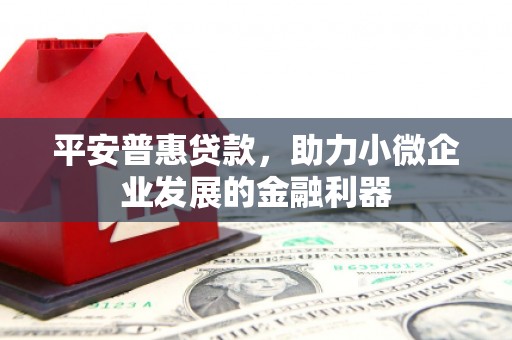 长岛平安普惠贷款，助力小微企业发展的金融利器