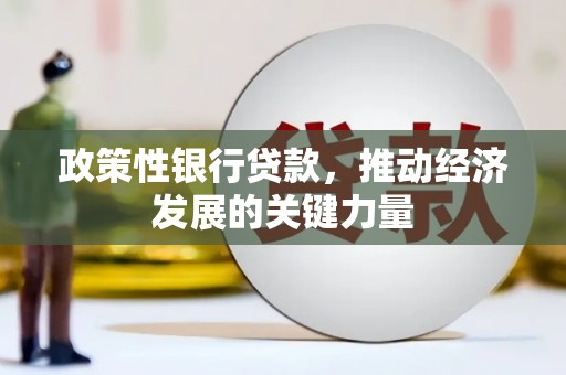 长岛政策性银行贷款，推动经济发展的关键力量