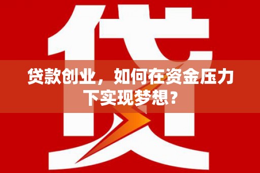 长岛贷款创业，如何在资金压力下实现梦想？