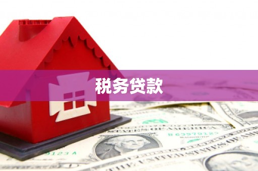 长岛税务贷款